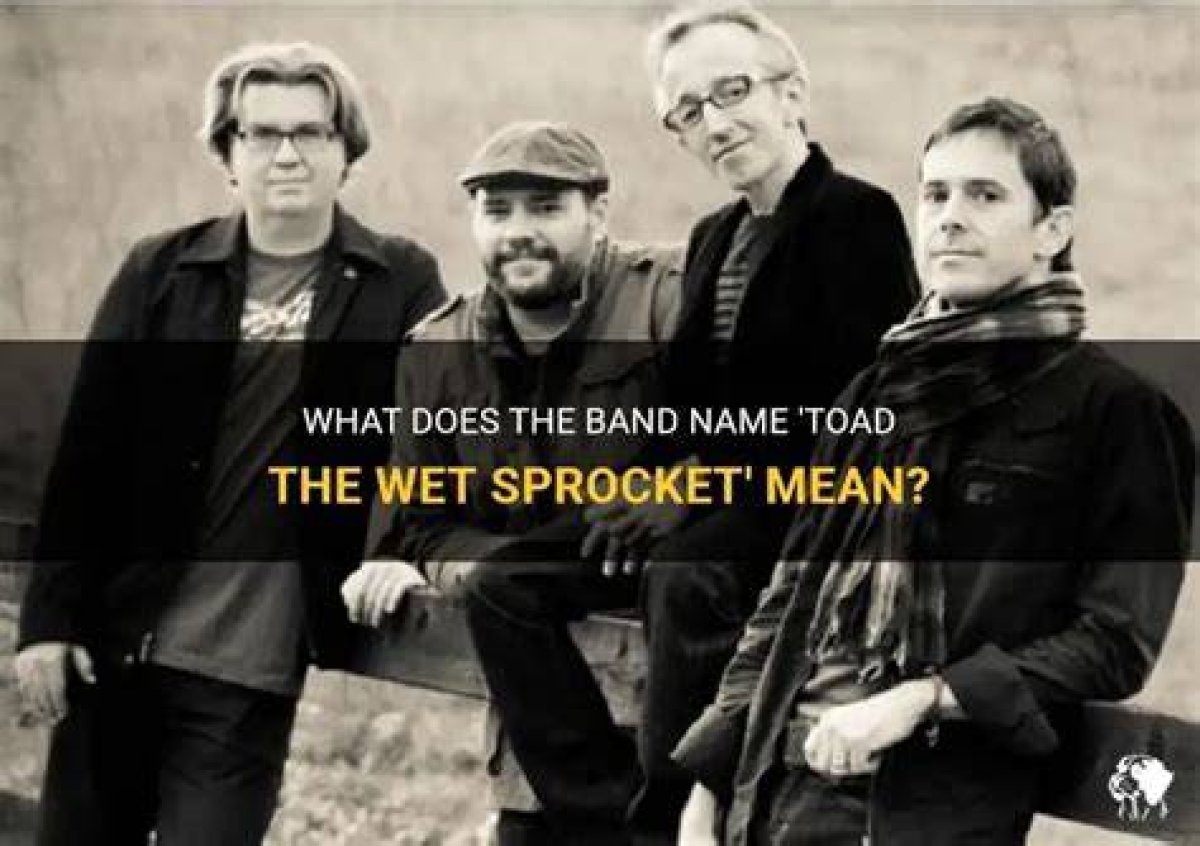 ___ the Wet Sprocket (Rock Band)