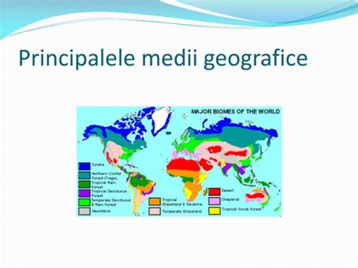 Tipuri De Medii Geografice Quiz