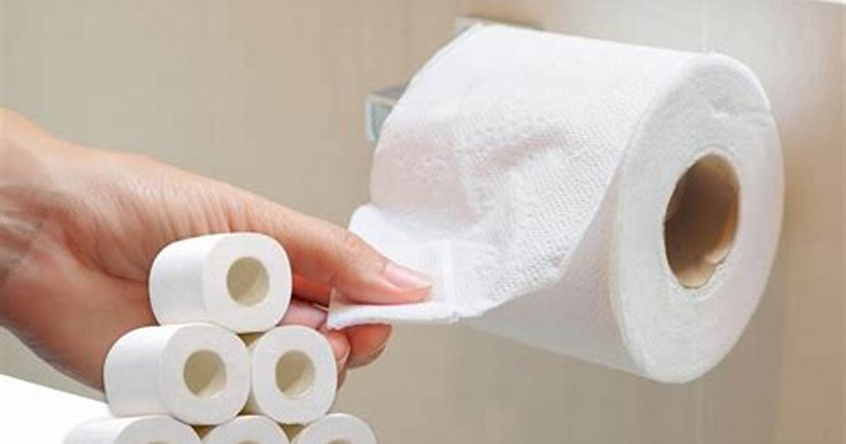 Toilet Tissue Layer