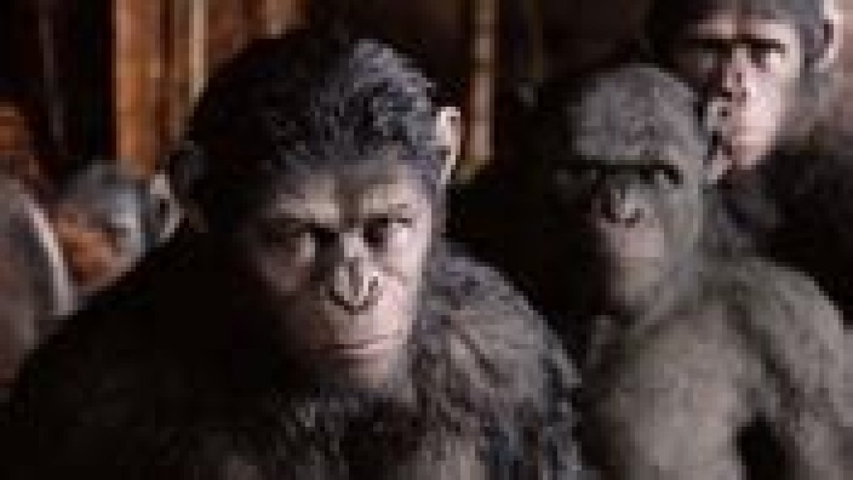 Top 15 Películas Protagonizadas Por Monos
