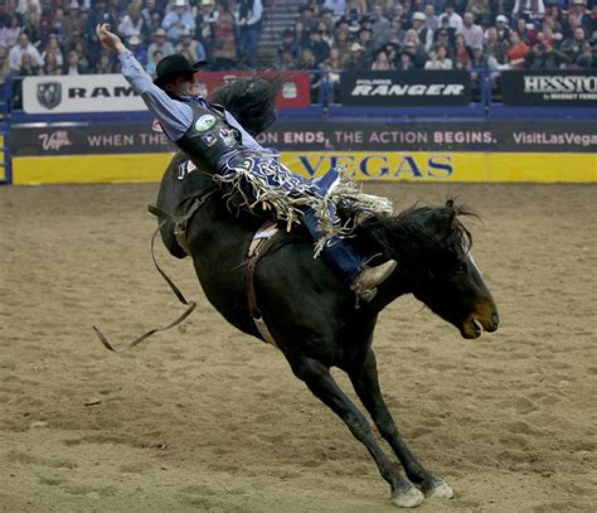 Trenten Montero Accident: Nevada Bareback Rider Passes Away After Rodeo Accident