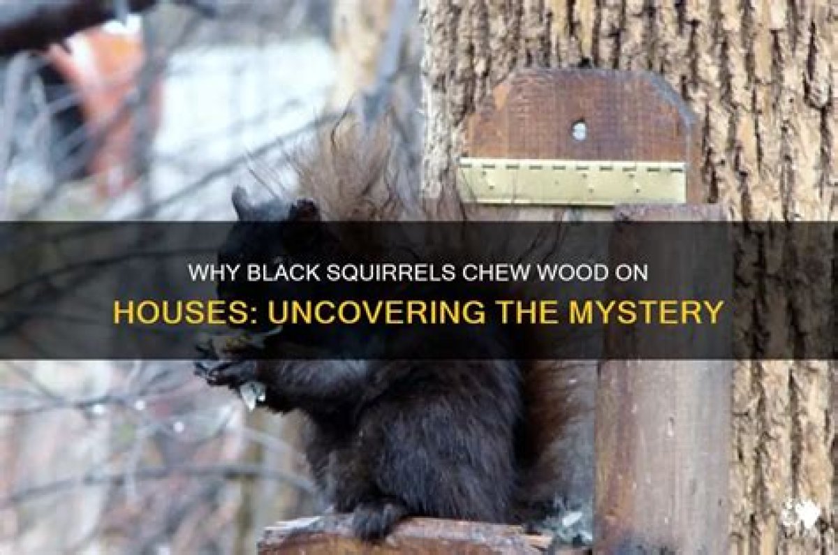 Uncovering the Mystery of Jenna Chew's Boyfriend