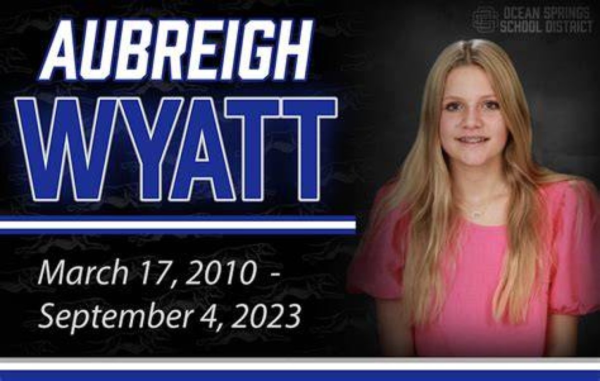 Understanding the Consequences: Did Aubreigh Wyatt's Bully Go to Jail?