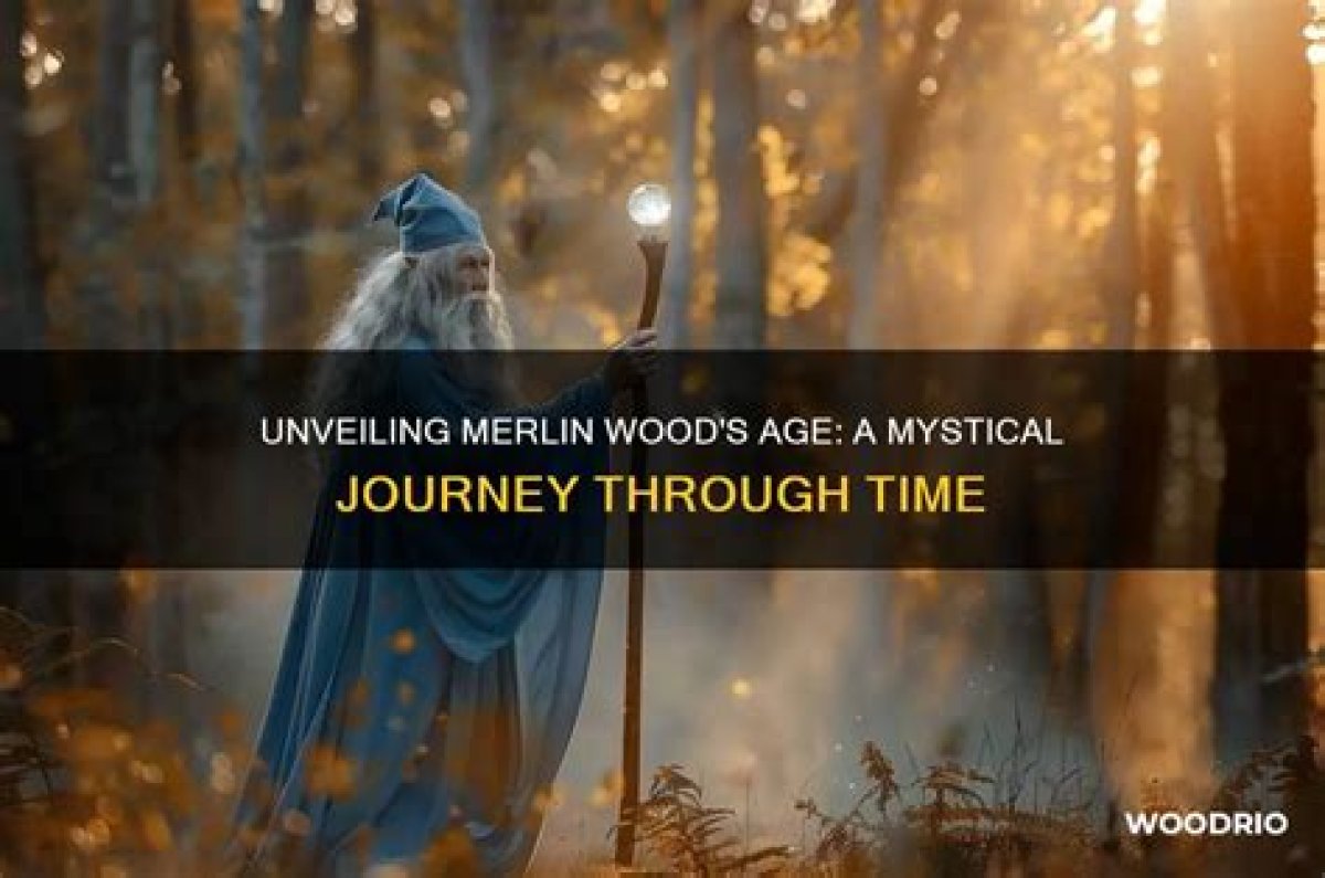 Unveiling Dino Merlin's Musical Journey Through the Ages
