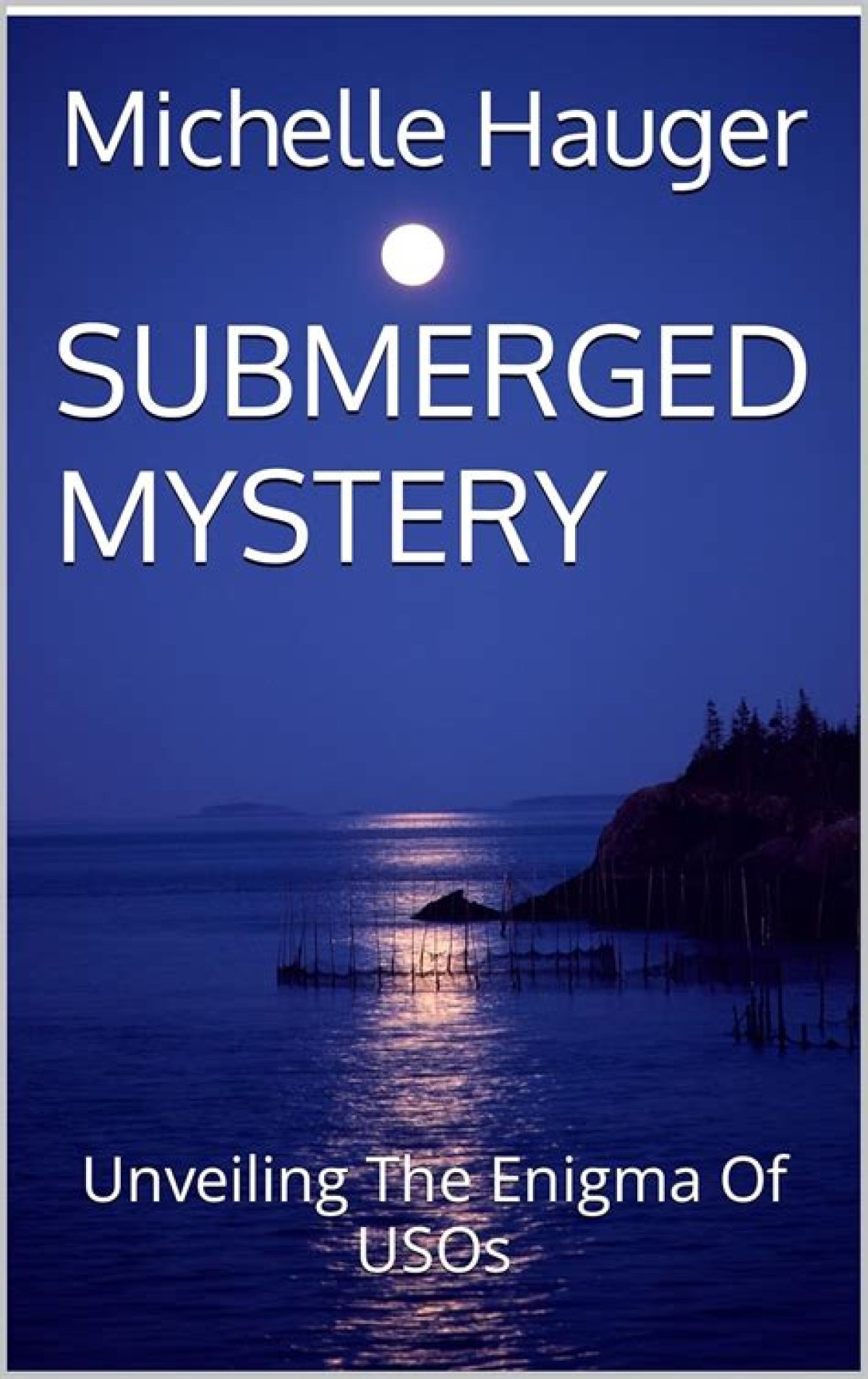 Unveiling the Enigma of Rika Hoshimi