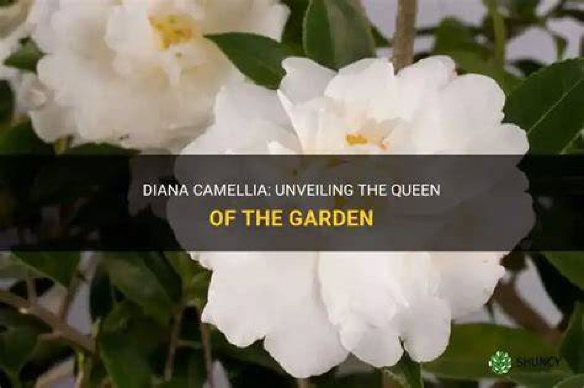 Unveiling the Horrors of the Camellia Torture Case