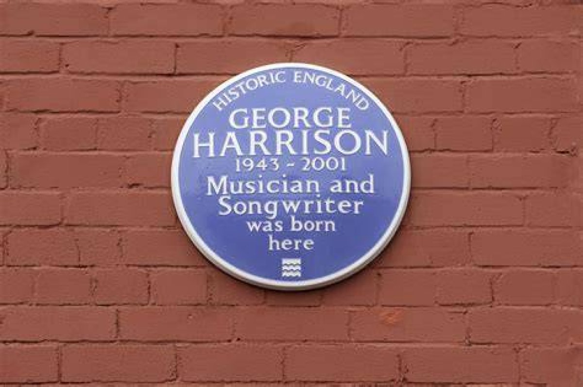 Unveiling the Life and Career of Harrison Refoua