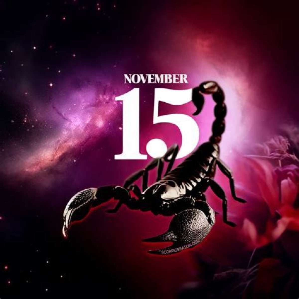 Unveiling the Mystique of November 15 Scorpio