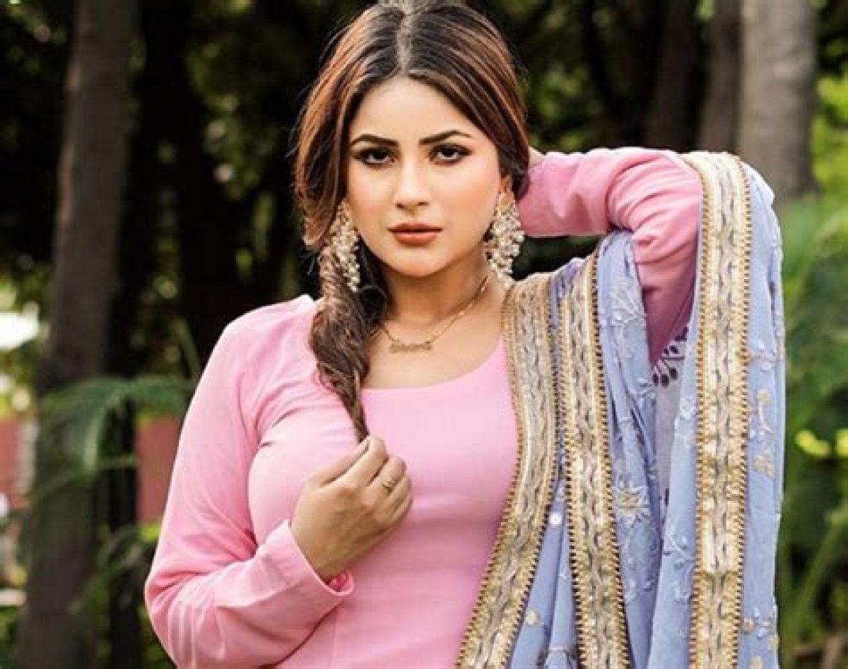 Unveiling the Significance of Shehnaz Gill's Height: Uncover Surprising Insights