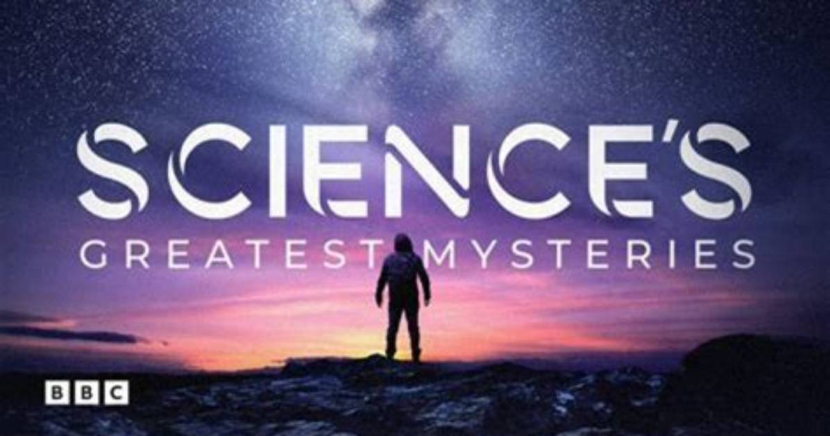 Unveiling Tree Paine's Salary: Discoveries and Insights