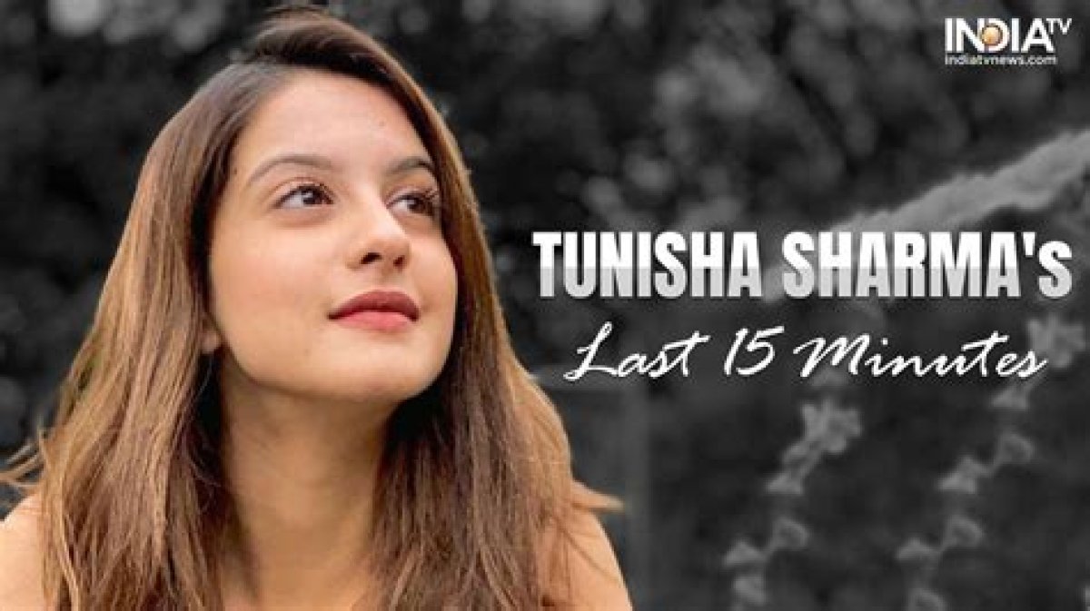 Unveiling Tunisha Sharma's Complex Relationships: Unraveling Insights and Lessons