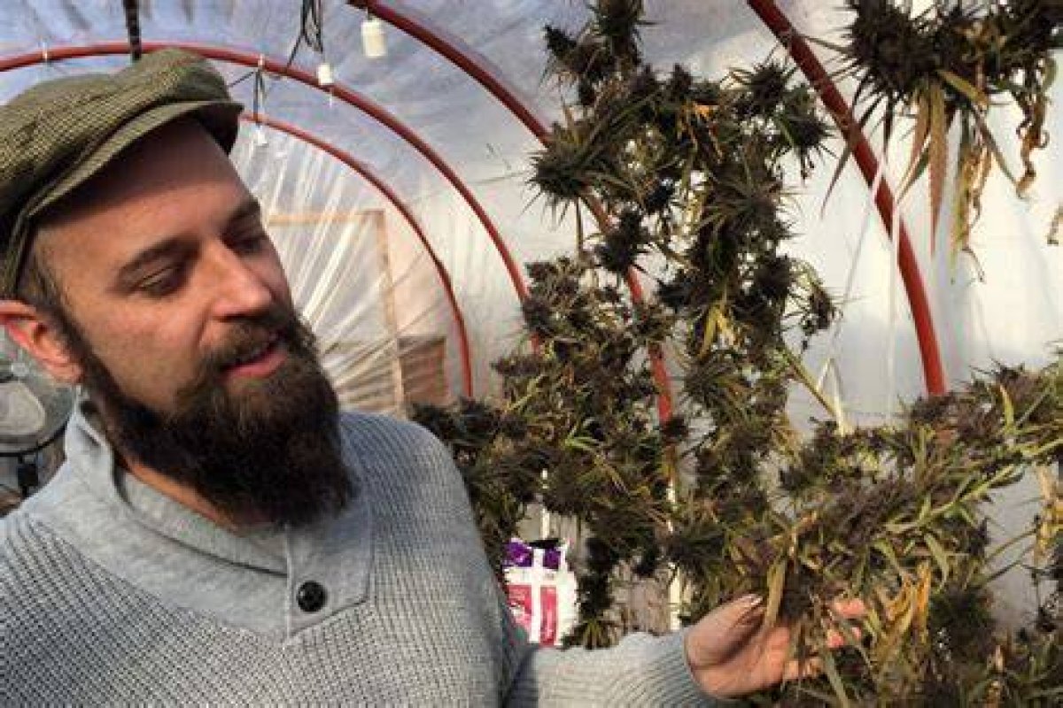 Uruguay’s Grand Plan to Legalise Marijuana Involves Vast Government Regulation and Fingerprint Scanners at Pharmacies