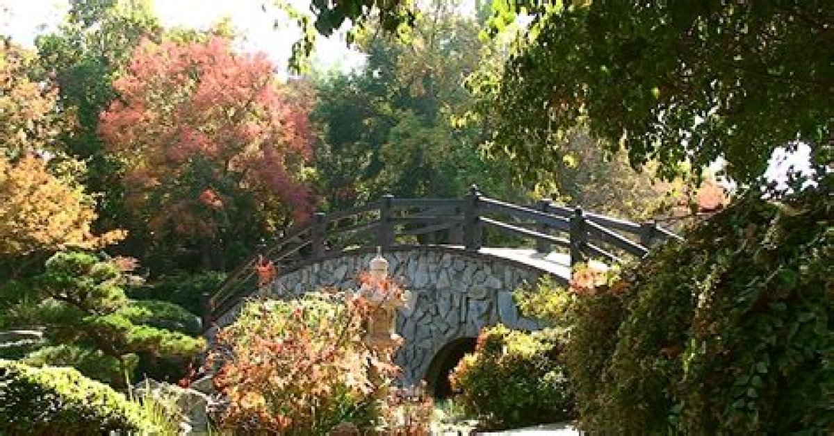 Valley Pbs Community byYou | Shinzen Japanese Garden: Fall Artist Day | Season 2013 | Episode 82