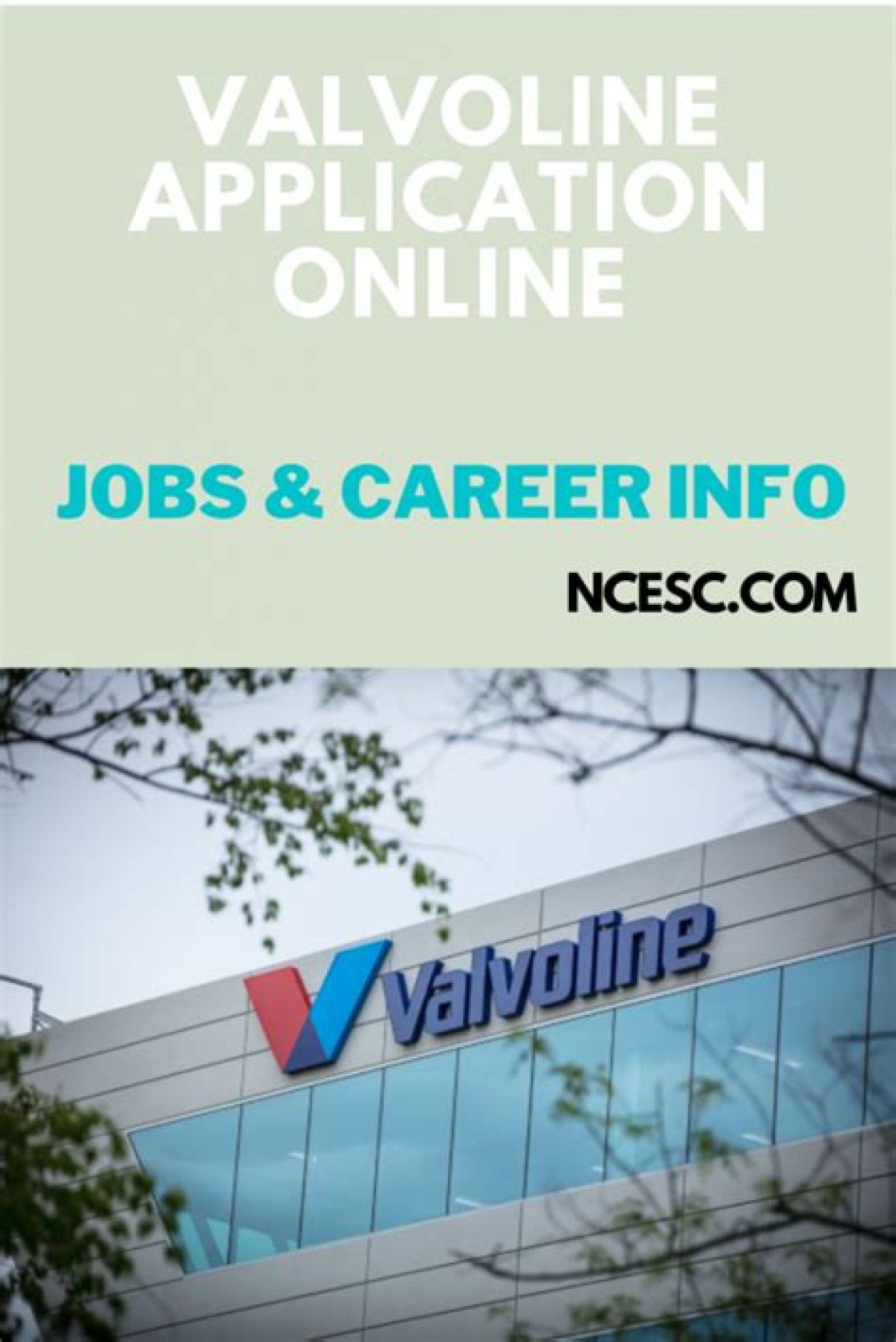 Valvoline Application Online: Jobs & Career Info