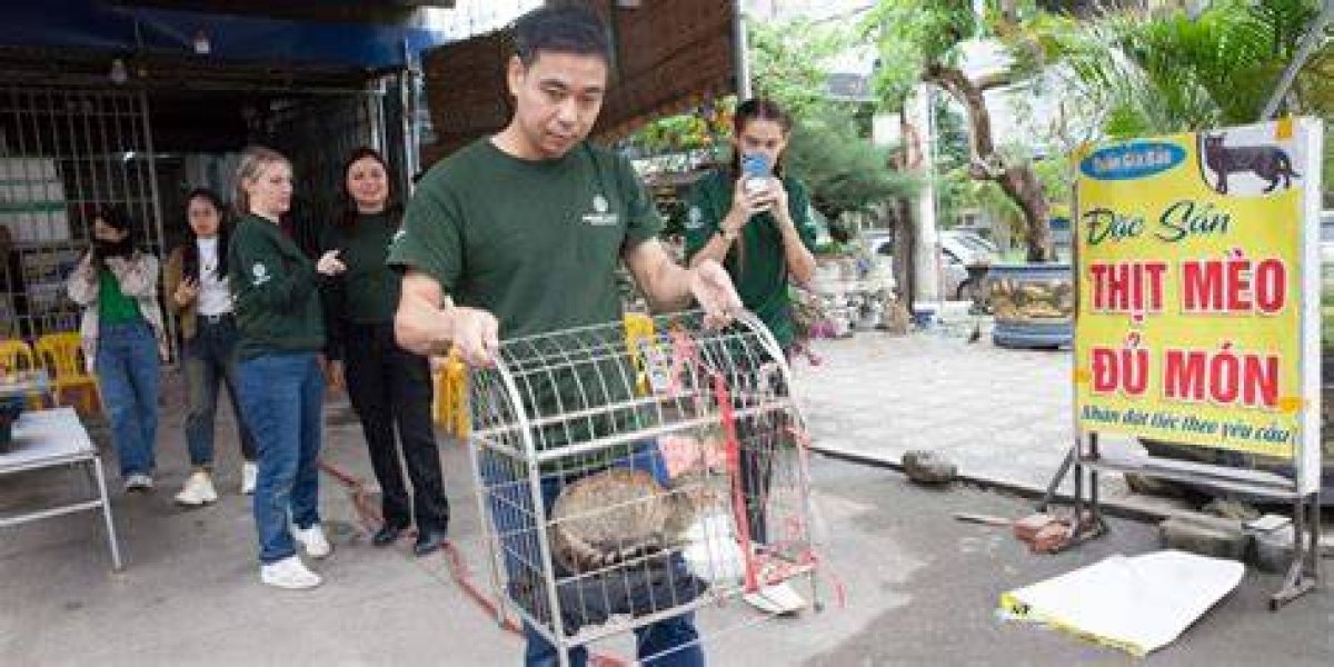 Vietnamese Restaurant That Drowned up to 300 Cats a Month Shuts Down