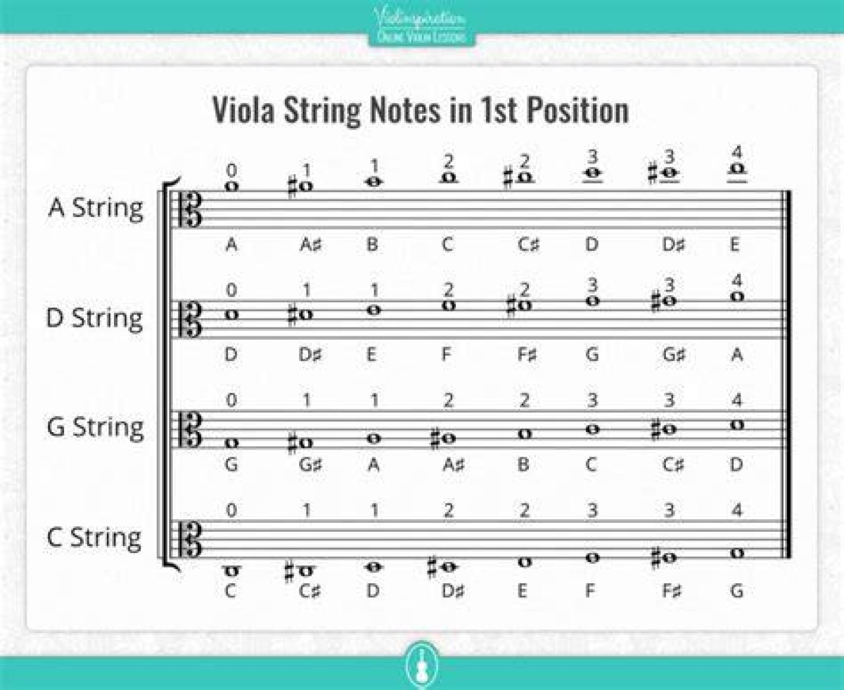 Viola Note Names Quiz