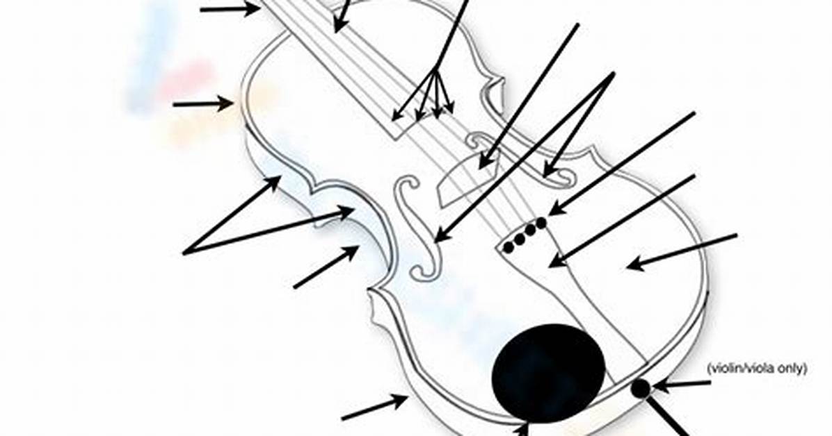 Violin Parts Quiz