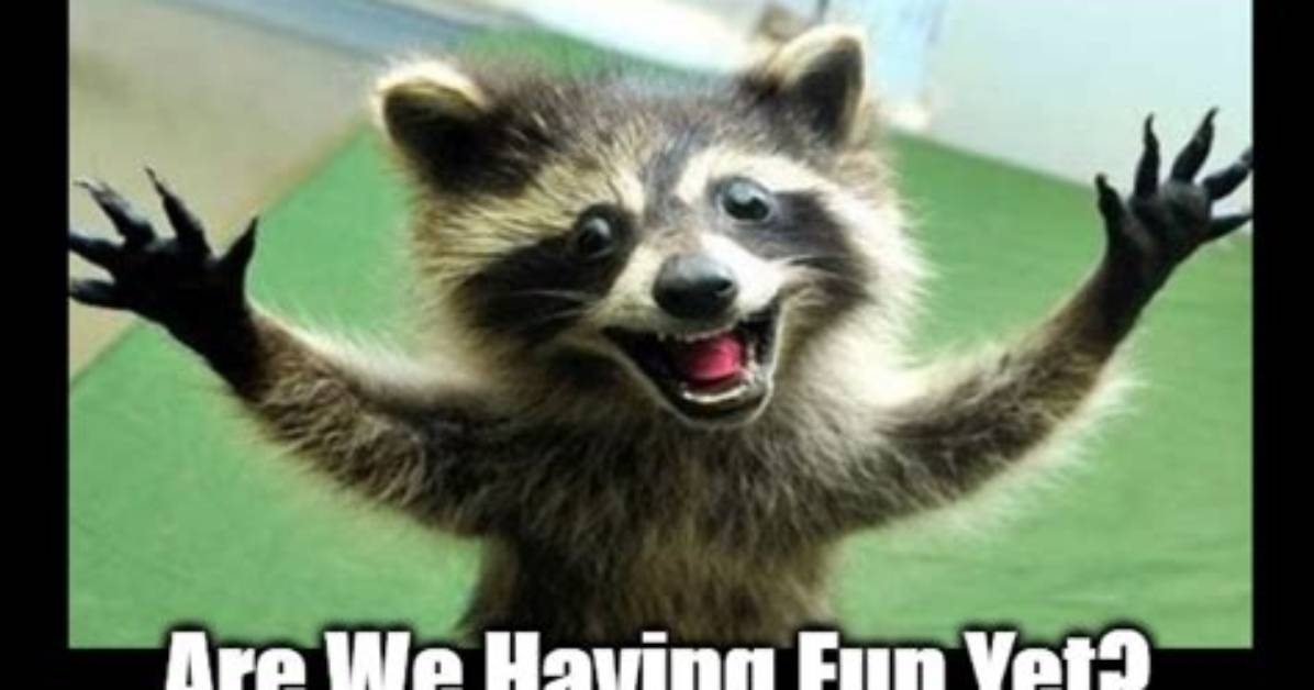 ___ We Having Fun Yet?
