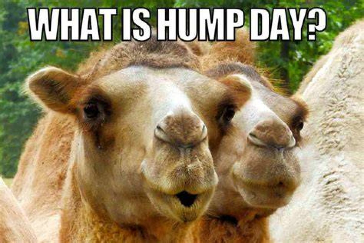 Weekday That's Called Hump Day: Abbr.