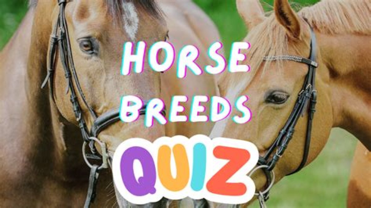 Well Known Horse Breeds Quiz