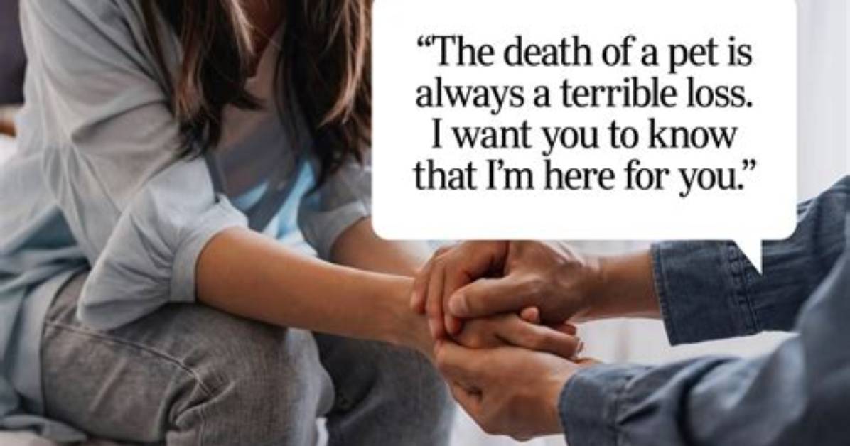 What a Person or Pet Is Called By
