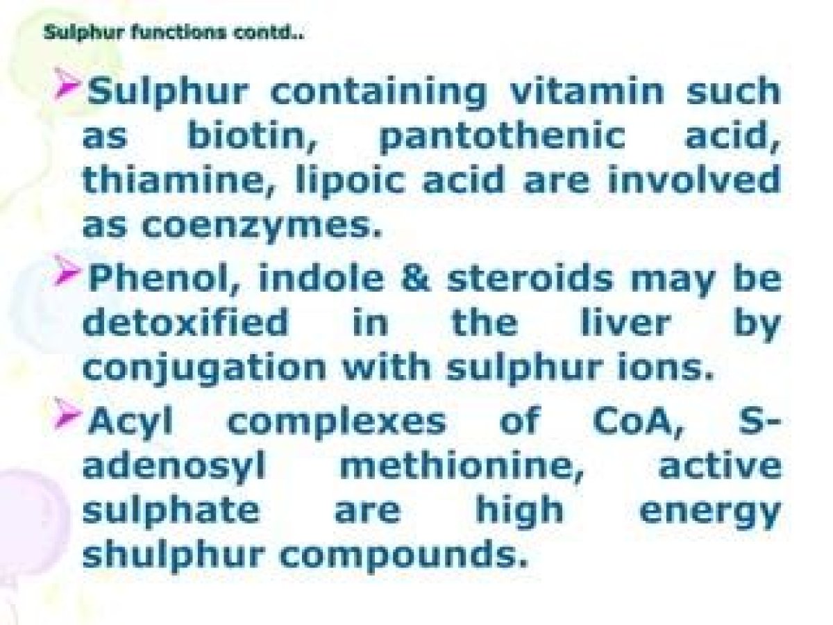 What Are Sulphur Containing Vitamins?