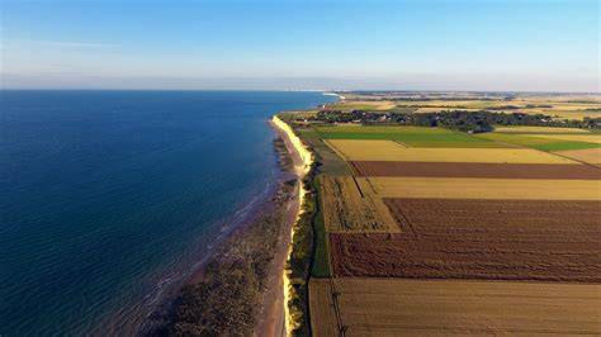 What Cities Are in the Coastal Plains in Texas?