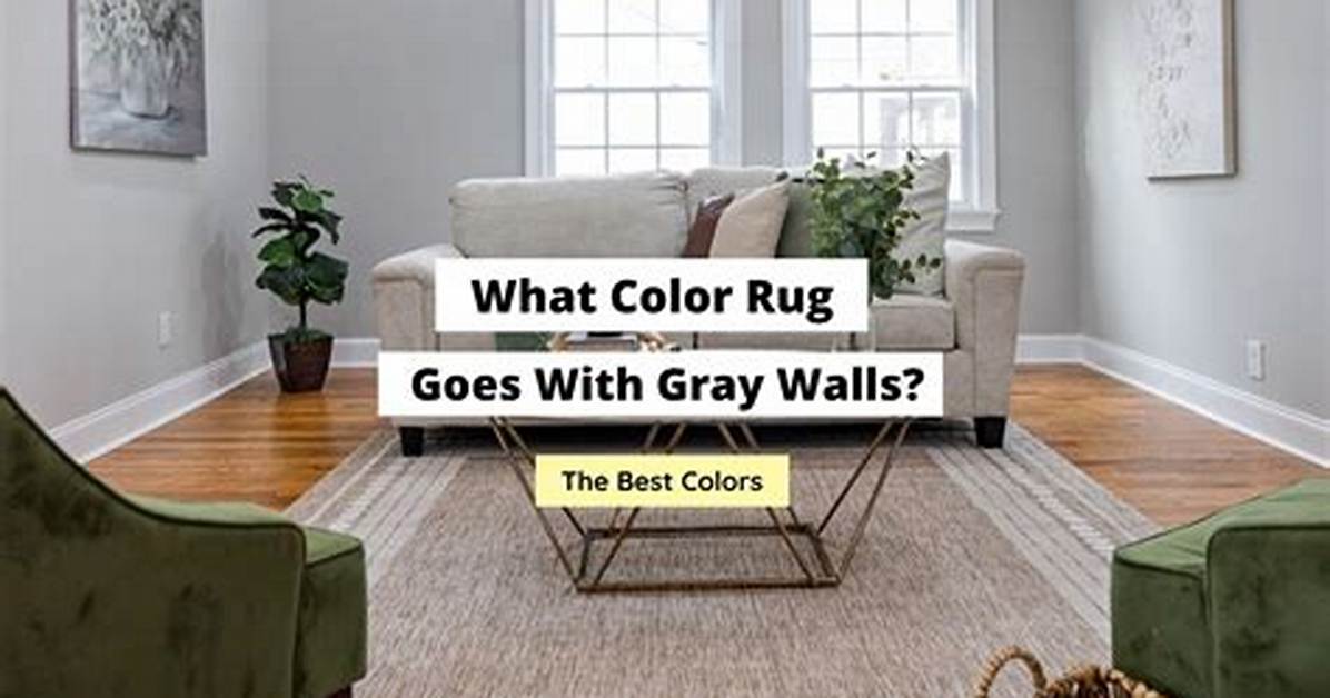 What Color Rug with Gray Floor?