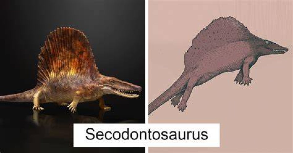 What Dinosaurs Actually Looked Like?