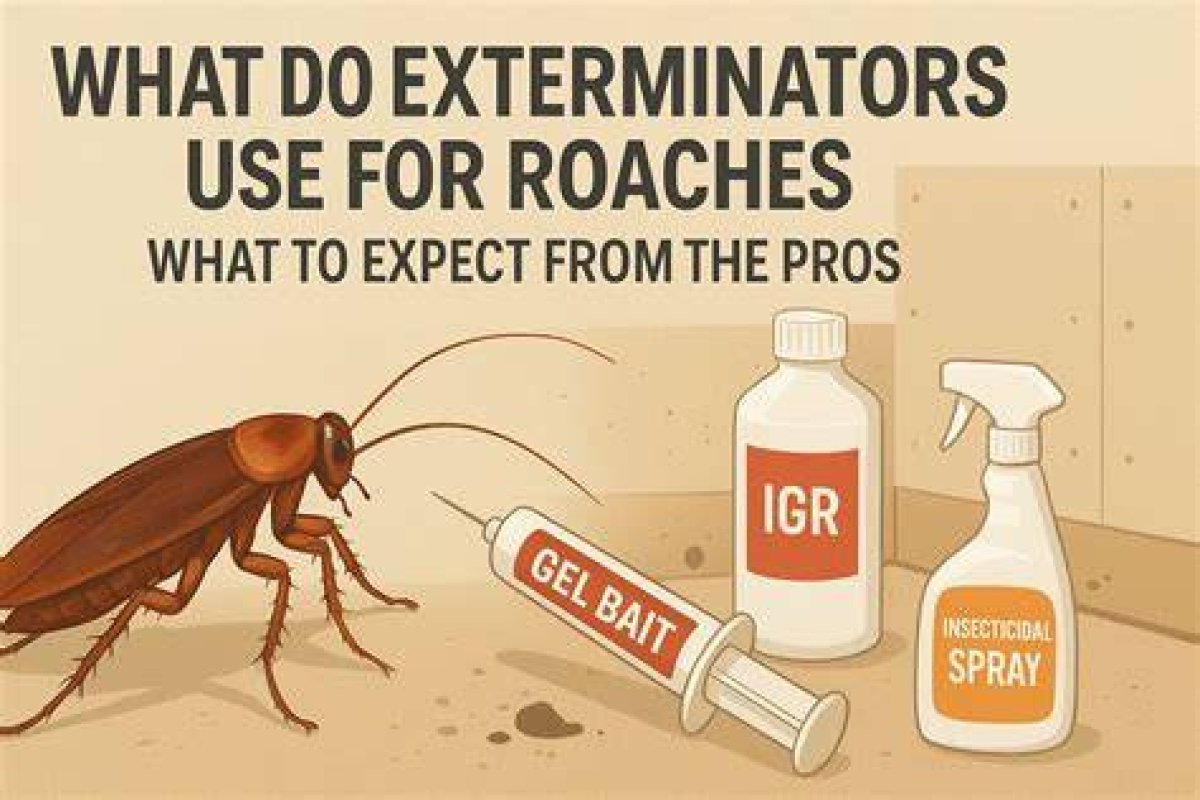 What Do Exterminators Use for Roaches?