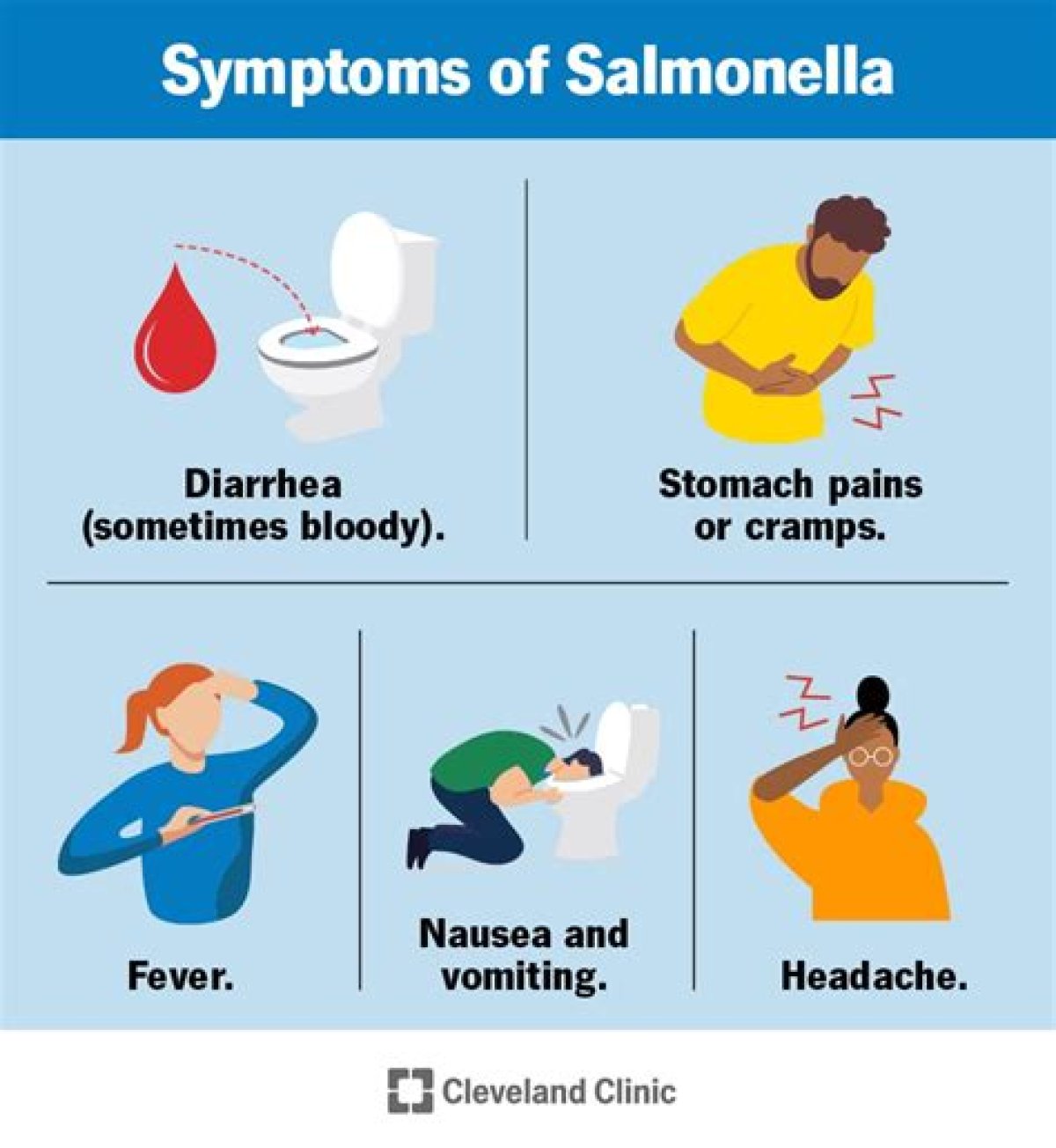 What Does Salmonella Do to Your Poop?