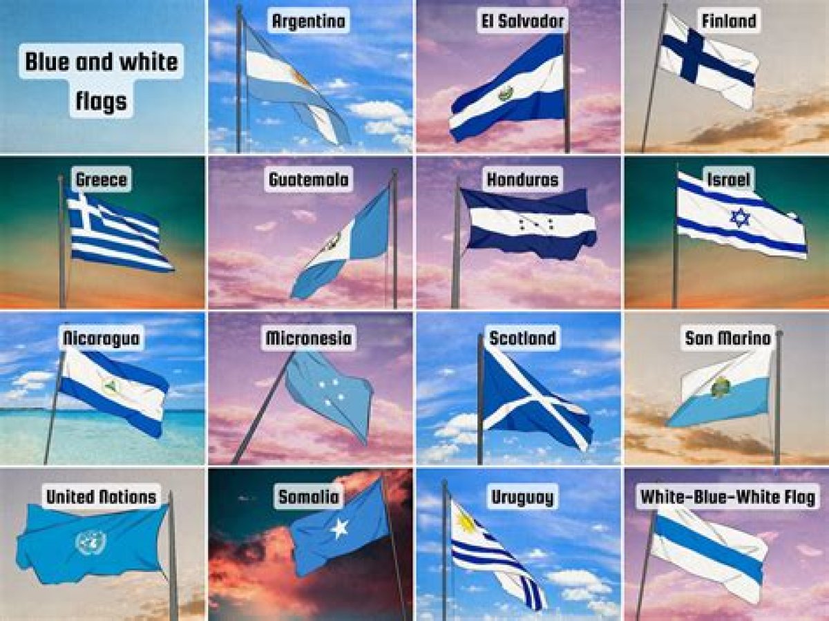 What Flag Has 5 Blue Stars?