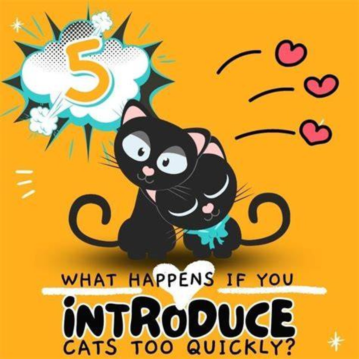 What Happens If You Introduce Cats Too Quickly?