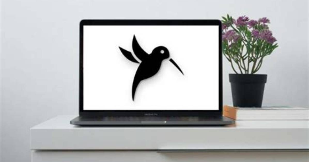 What Is Bird on Mac?