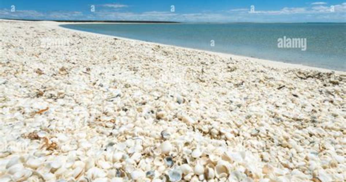 What Is Shell Beach Famous for?