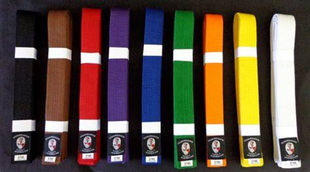 What Is the Highest Color Belt in Jiu Jitsu?