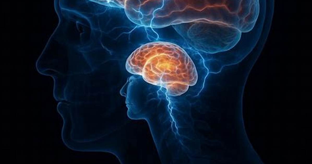 What Is the Highest Form of Intelligence?