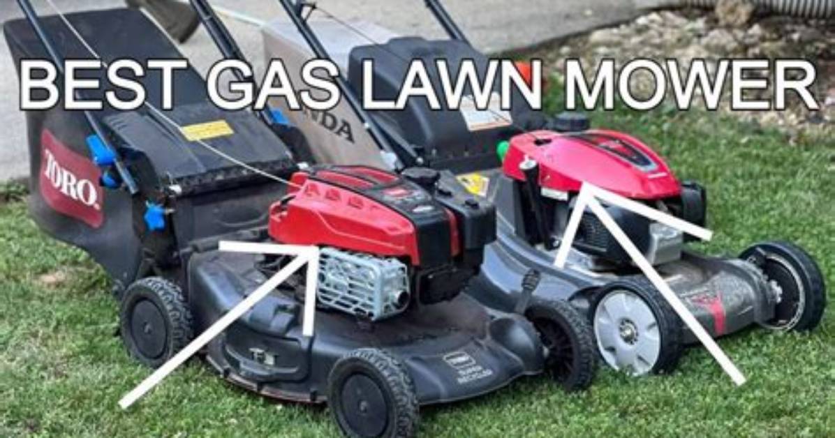 What Kind of Gas Should I Use in My Golf Cart?