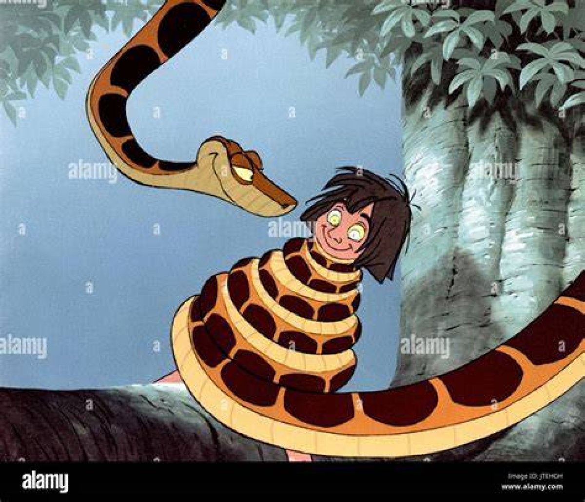 What Kind of Snake Is Kaa?