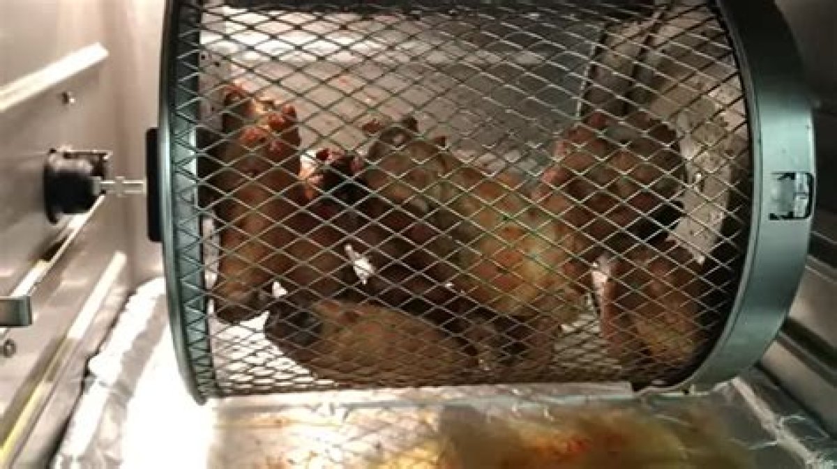What to Cook in Air Fryer Rotating Basket?