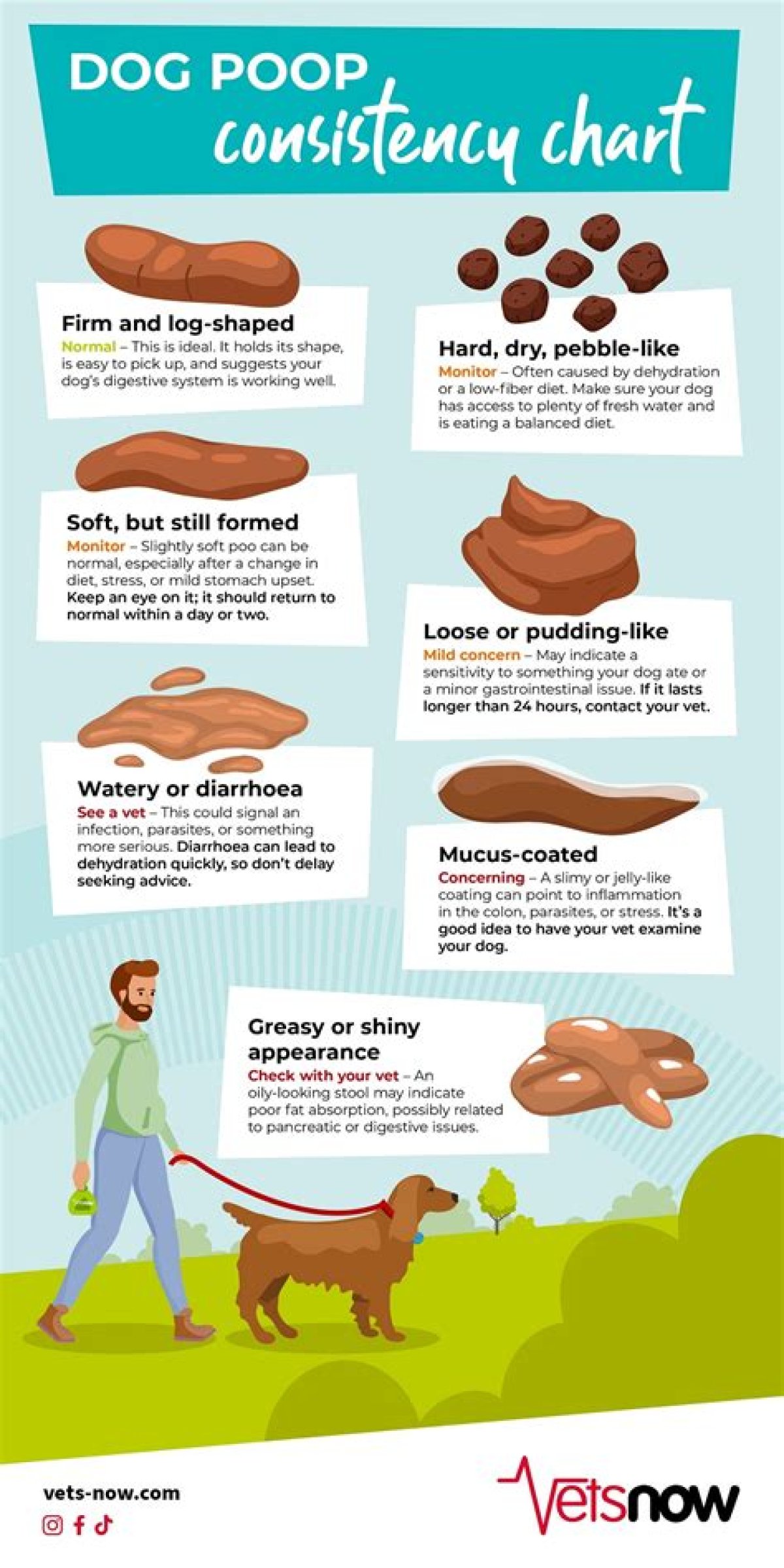 What Your Dog's Poop Tells You?