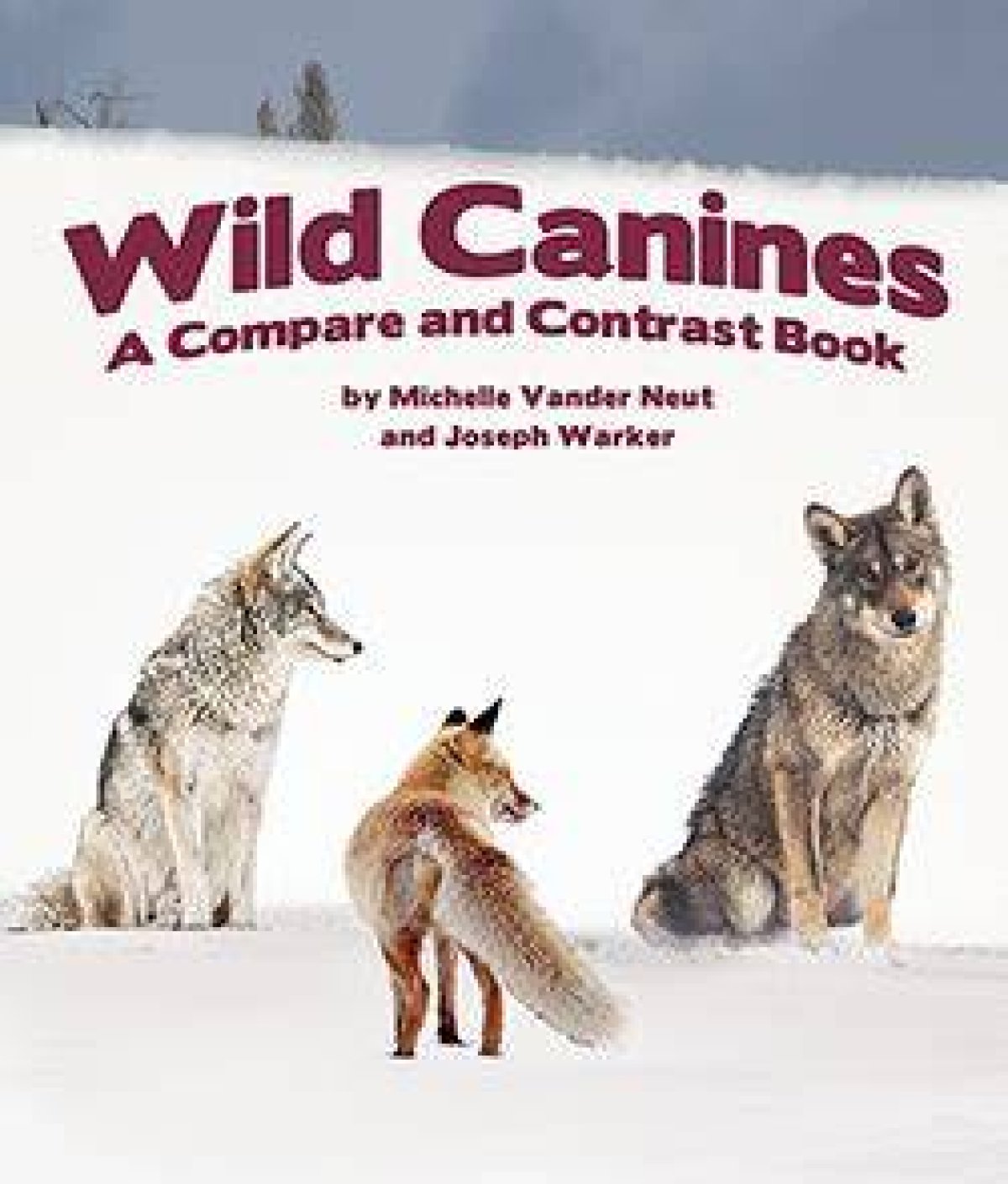 When Canines Go Wild: the Story of the Dog with Trash Can Lid on Head