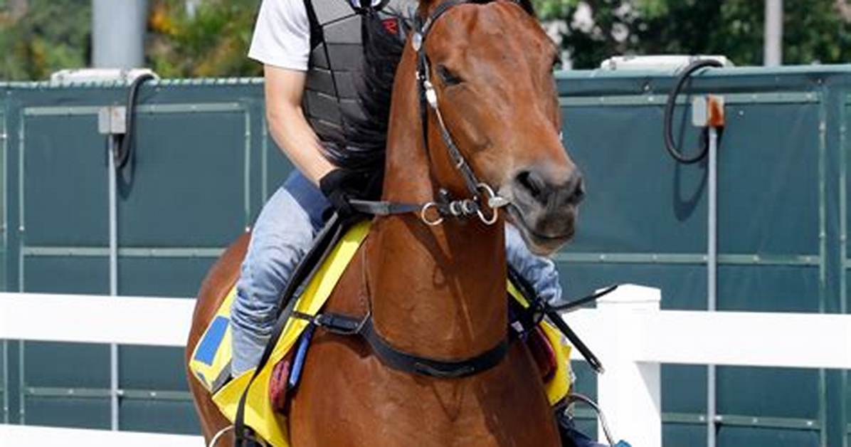Where Do I Learn Apprentice Riding in Stormwind?