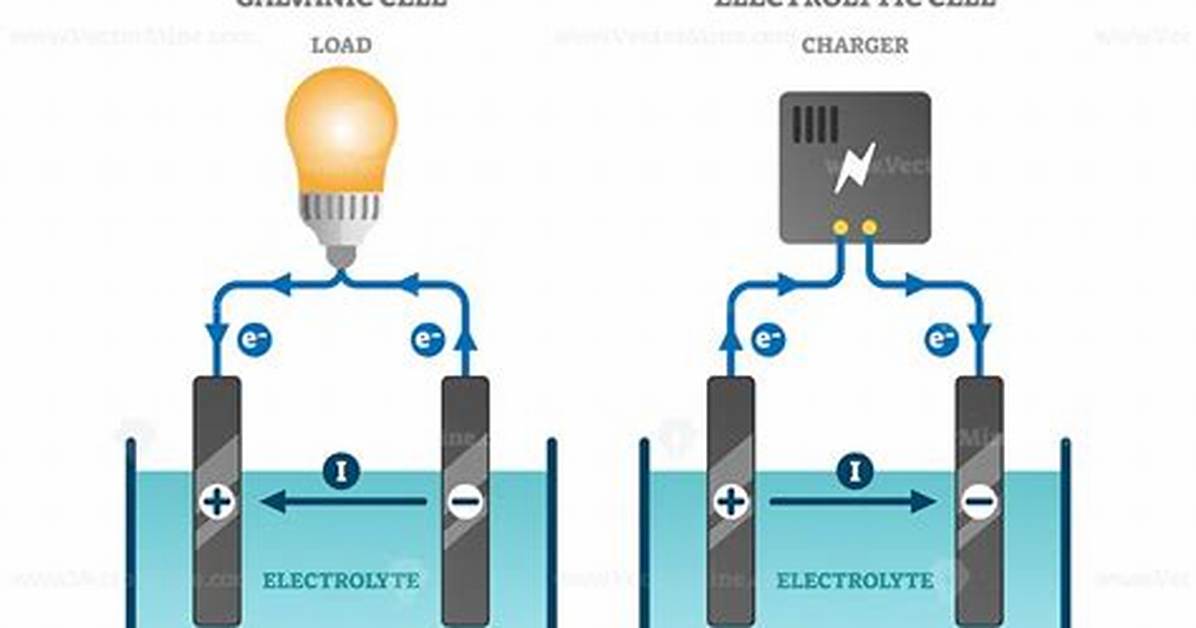 Where Is the Anode and Cathode?