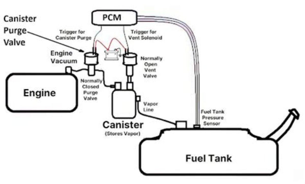 Where Is the Canister Purge Valve Located?