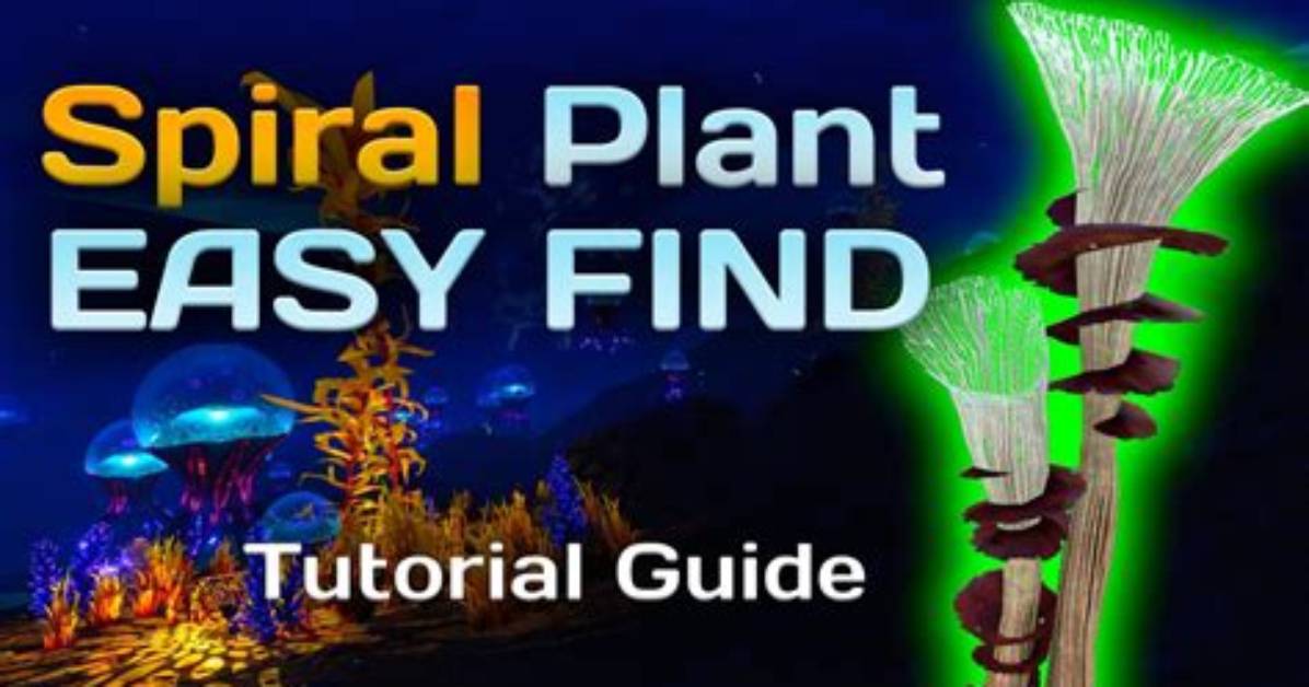Where to Find Spiral Plant Clippings?