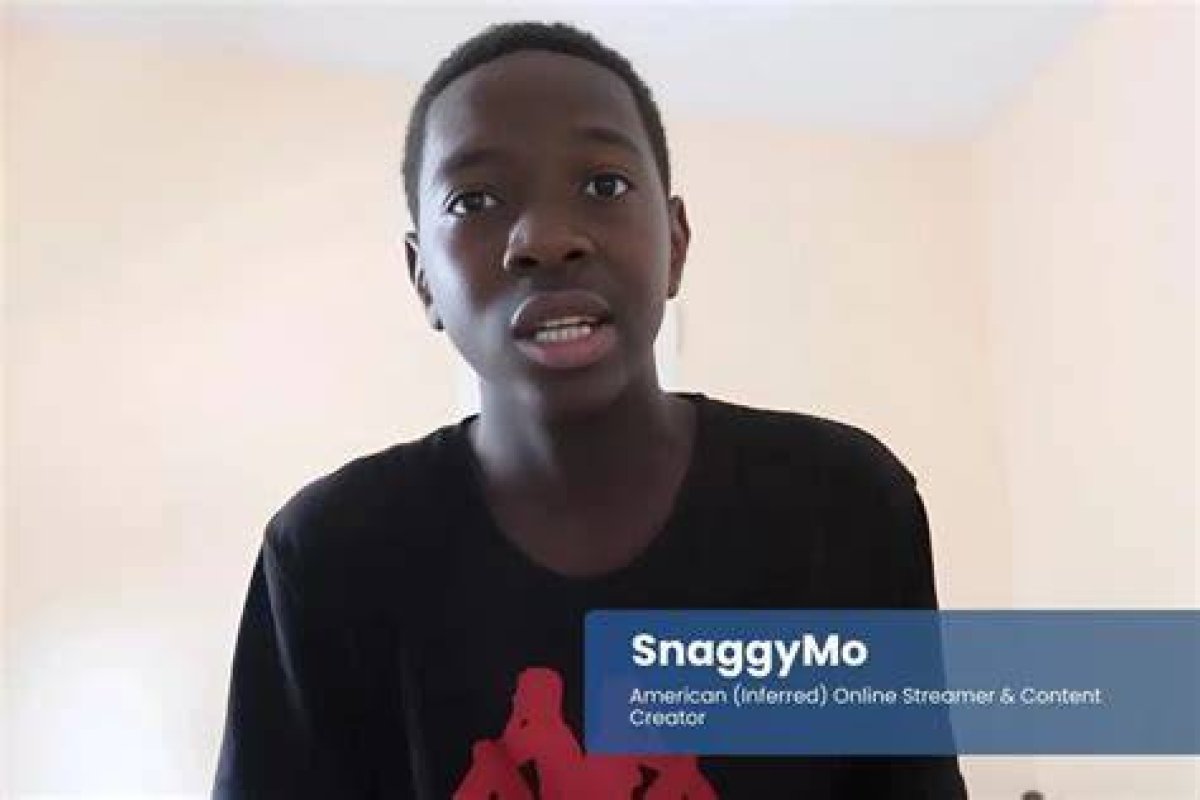 Who Is Streamer & Gamer Snaggymo? His Age, Bio & More