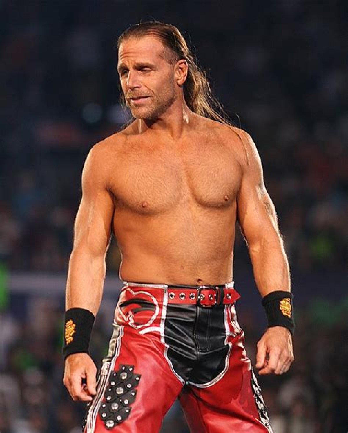 Who Is Wrestler Shawn Michaels? His Net Worth, Wife, Career