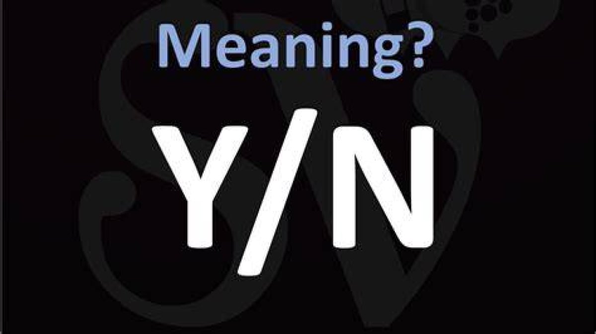 Who Is 'Y/N on Tiktok'? Meaning and Trend Explained
