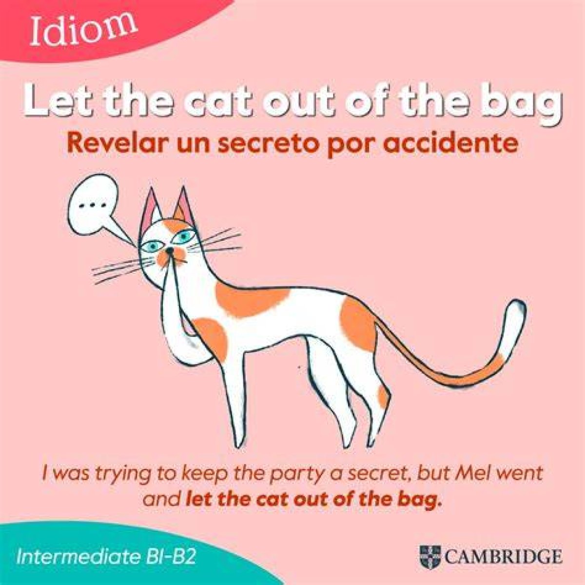 Who Let the Cat out of the Bag?